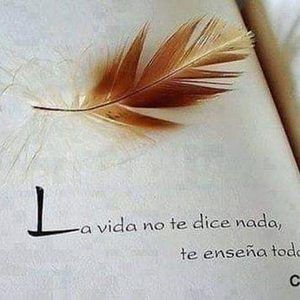 Meet your Posher, Armando